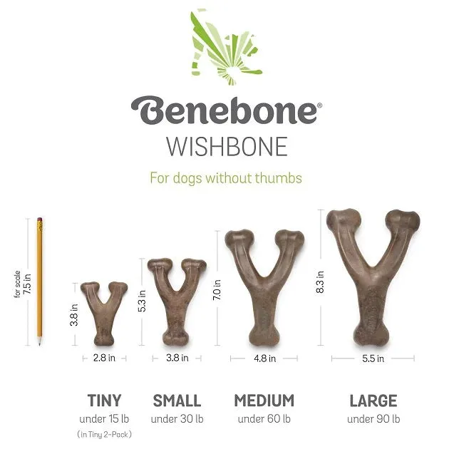 Benebone Puppy Pack Bacon Dental Chew   Wishbone 2-Pack