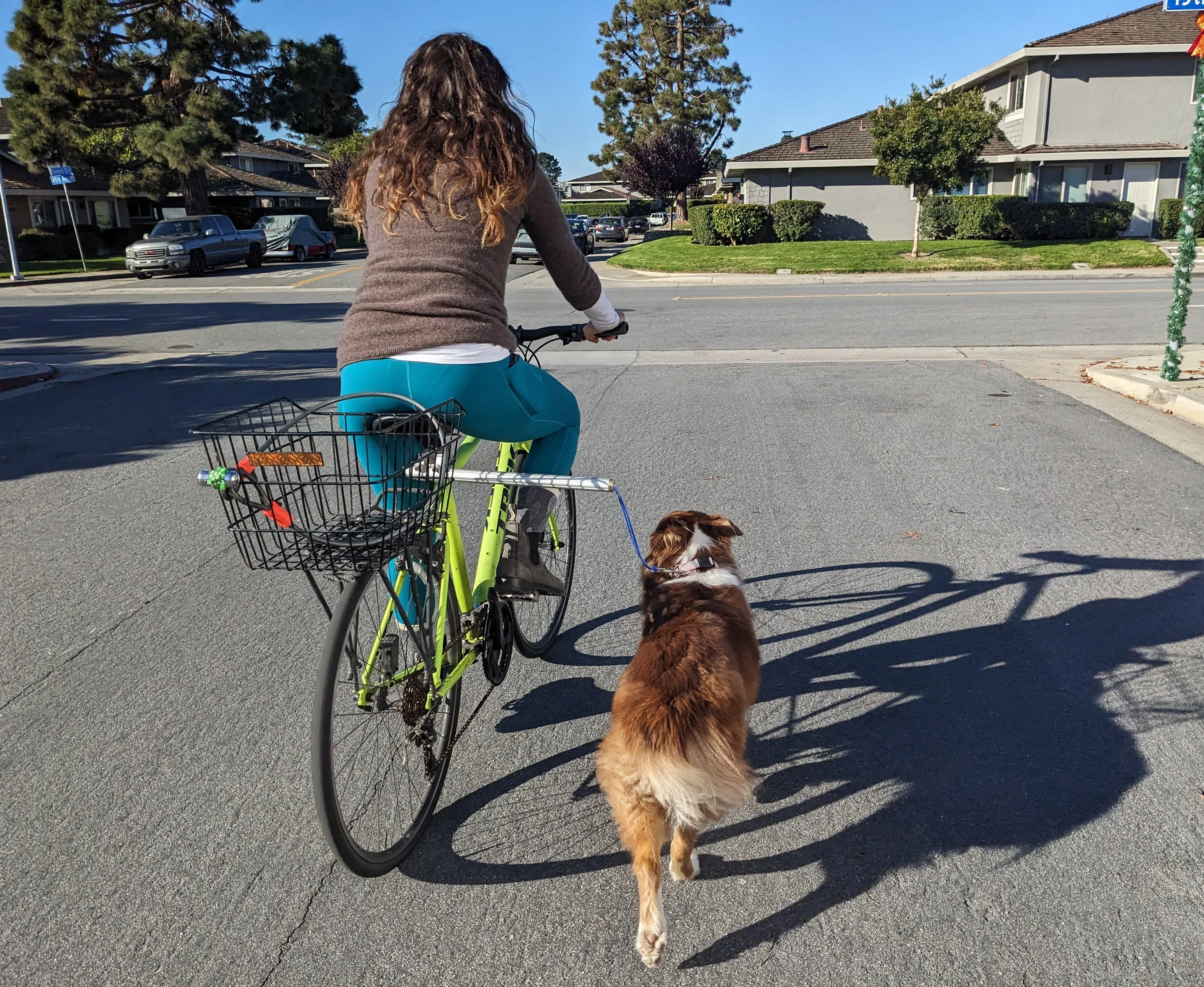 MBB Dog Runners